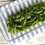5分でできる簡単常備菜。ピーマンの昆布あえ