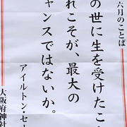 再び耳鼻咽喉科へ