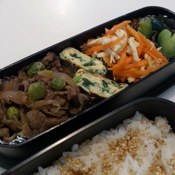 栄養ばっちりお弁当
