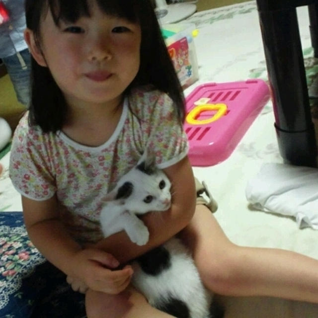 にゃんこ大好き☆