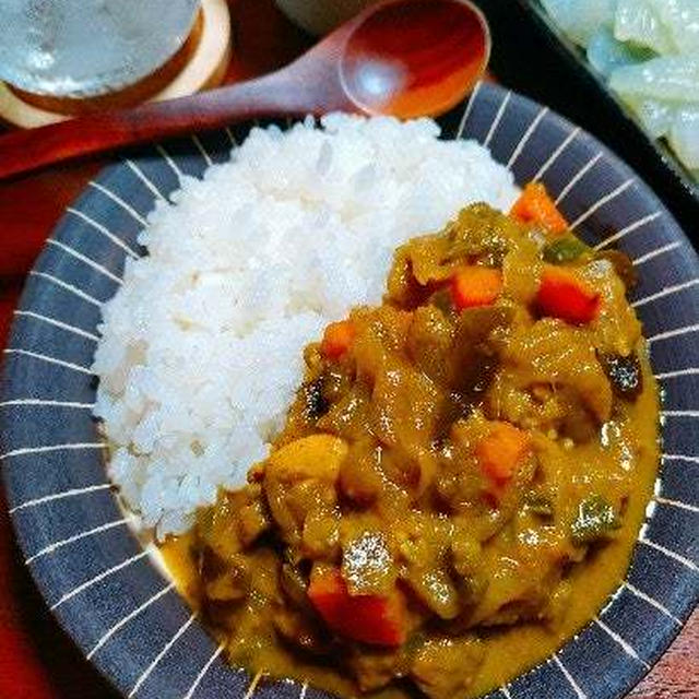 ポーションだしで作る！たっぷり野菜の無水カレー