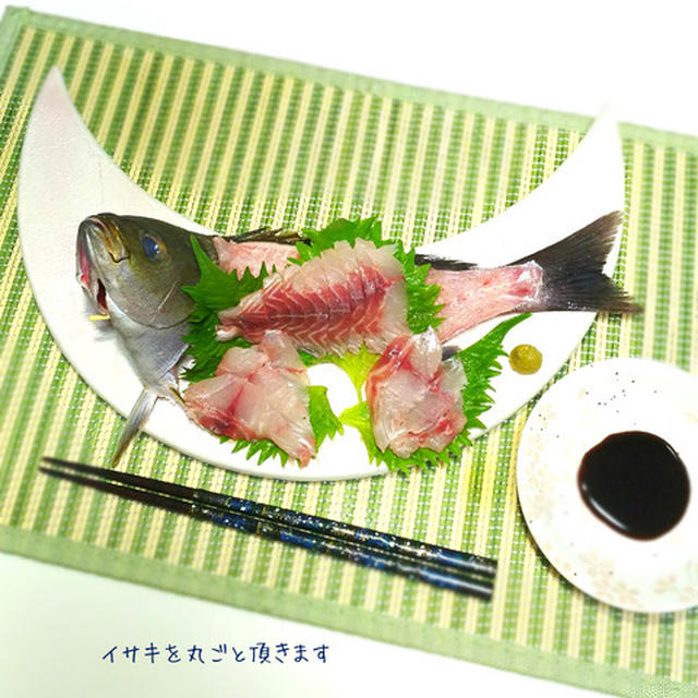 一匹丸ごと使って豪快に！イサキの姿造り