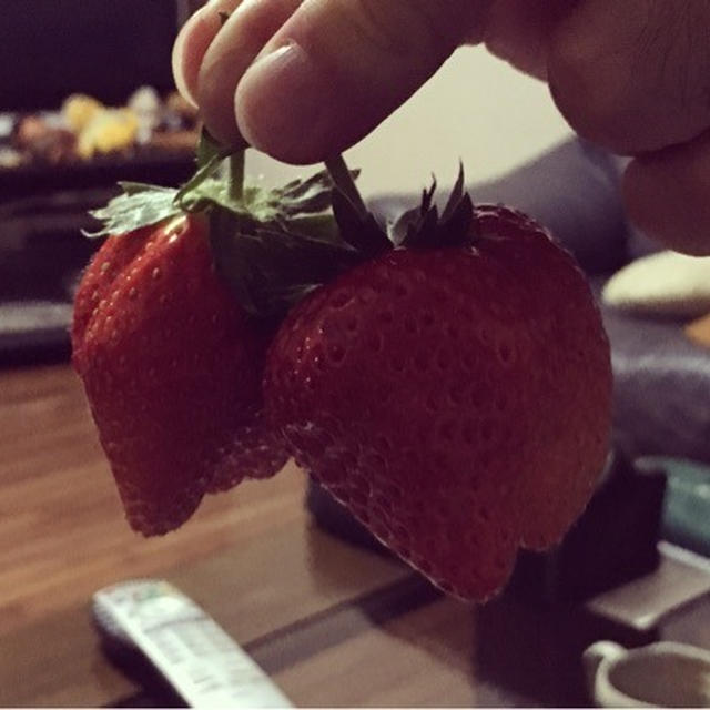 たかはぎ苺