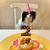 姫の2歳の誕生日　犬用ケーキとプレゼント
