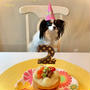 姫の2歳の誕生日　犬用ケーキとプレゼント