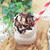 ペコリ今日のオススメ掲載♡　と、ミロチョコチップフラペチーノ♡