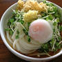 朝から腹ペコで「温玉ぶっかけうどん 冷」