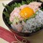 マグロしらす丼・１５分で出来る簡単スピードメニュー