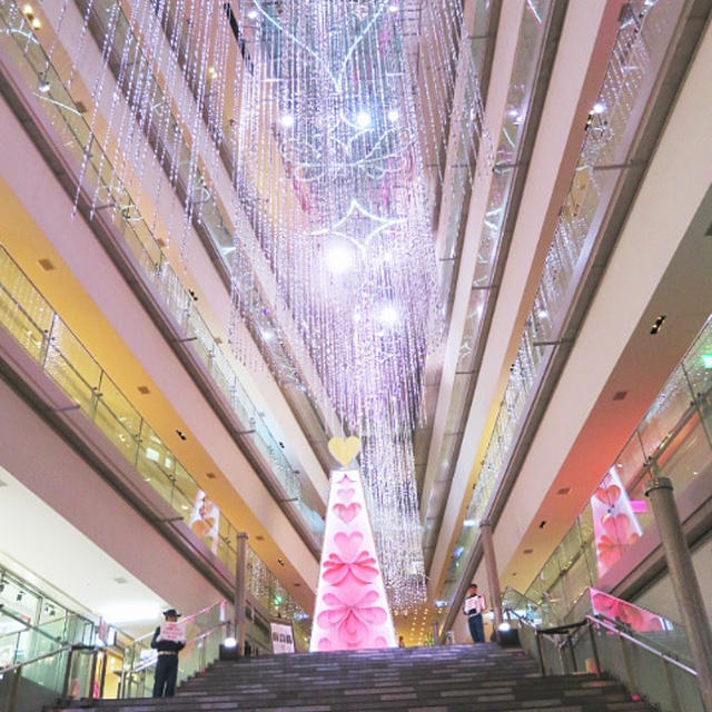 表参道ヒルズ☆オーロラの様に揺れて輝くクリスマスイルミネーション
