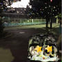まん丸ちゃんと帰り道
