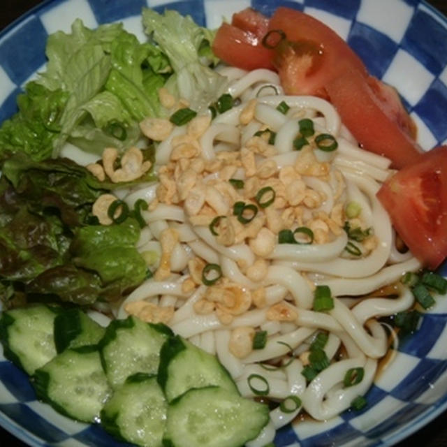 11月25日　　サラダうどん
