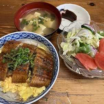 うな玉丼