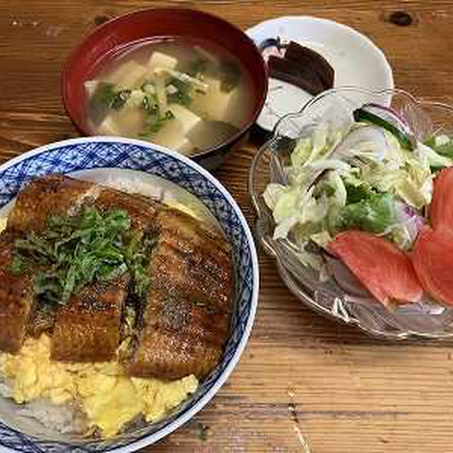 うな玉丼