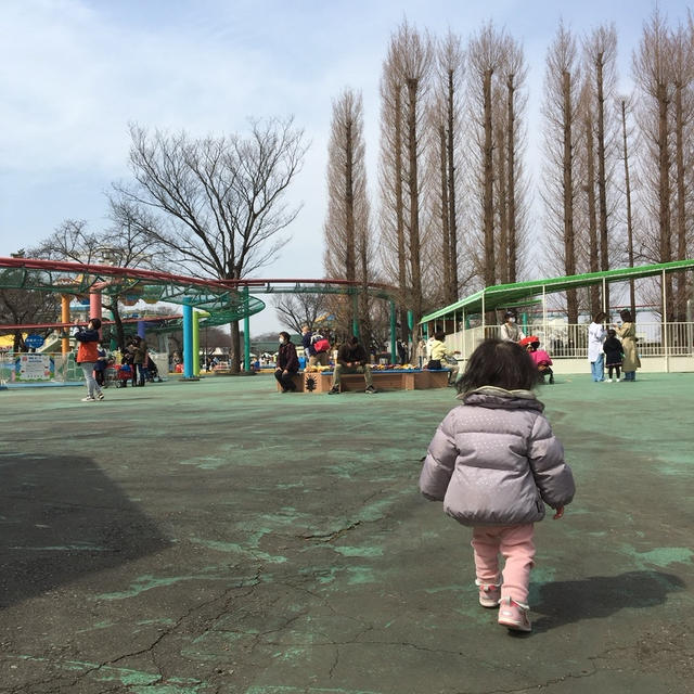 ストレスがたまった子どもたちと遊びつくした！埼玉県　加須市むさしの村