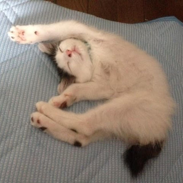 ４年前の写真だけど破壊力抜群！