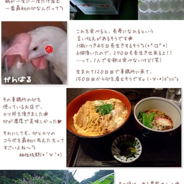 ■長寿になれる卵■養鶏所に行ってきた(・∀・)