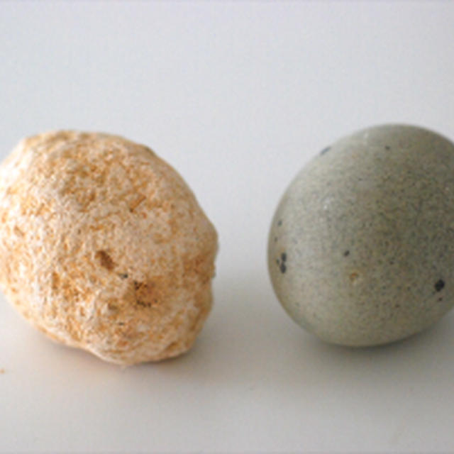黄金皮蛋　Goldern Chinese century eggs