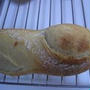 ホシノでフランスパン