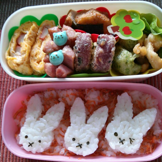 なーちんのお弁当＆マカロン＆プリンだよ♪