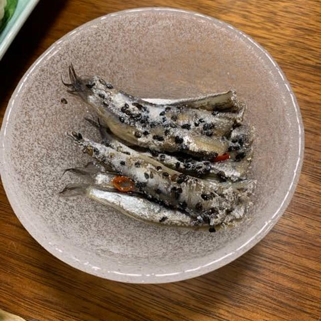 房総の胡麻鰯を、はじめて食す