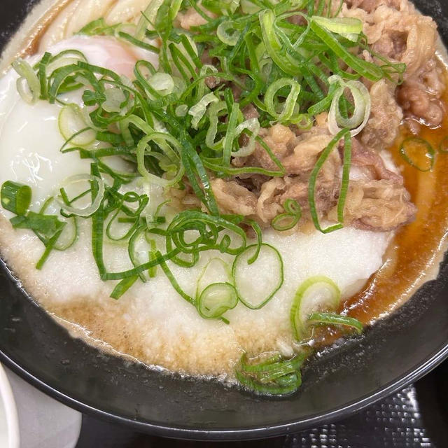 いりこだし汁　さぬき　いぶき　うどん　