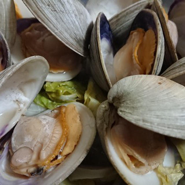 野郎飯流・ホンビノス貝の白ワイン蒸し