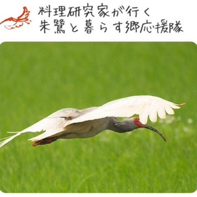 【取材】朱鷺と暮らす郷⑤〜応援隊がゆく！佐渡の歴史と自然〜