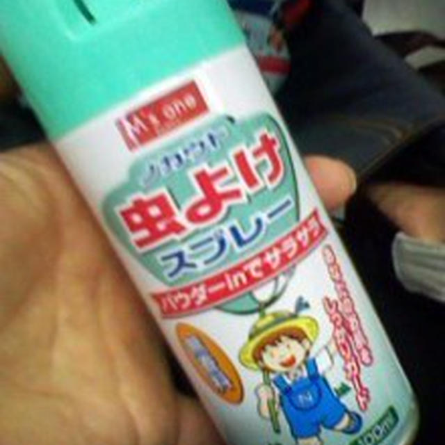 スマホ故障？と忘れ物は虫除けスプレー