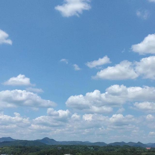 今日のあおそとスマホ熱中症#ameba写真部