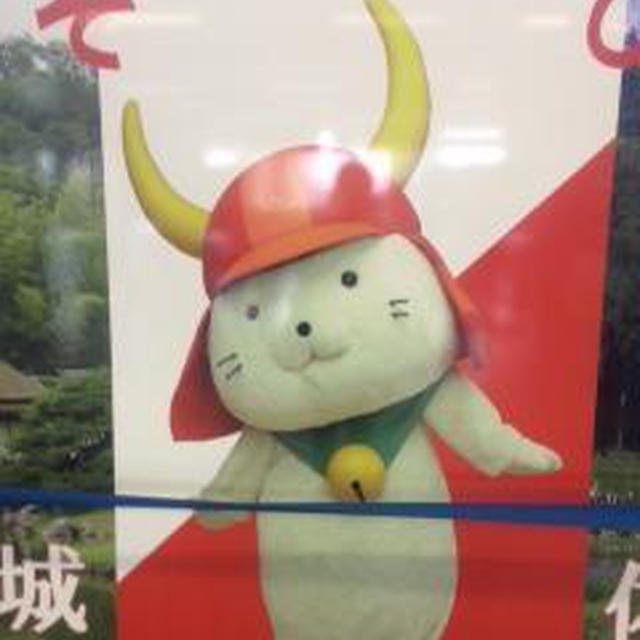 本日よりランチ会のエントリー開始しました！