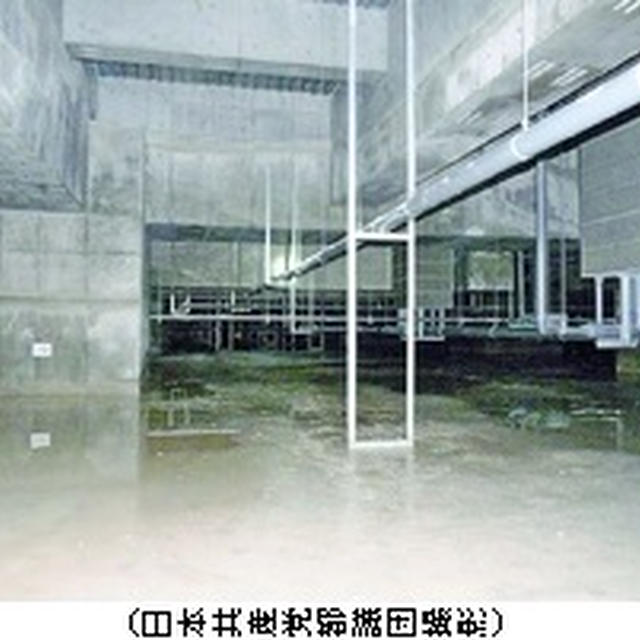 豊洲新市場問題