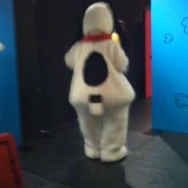 元気いっぱいのビーグル犬
