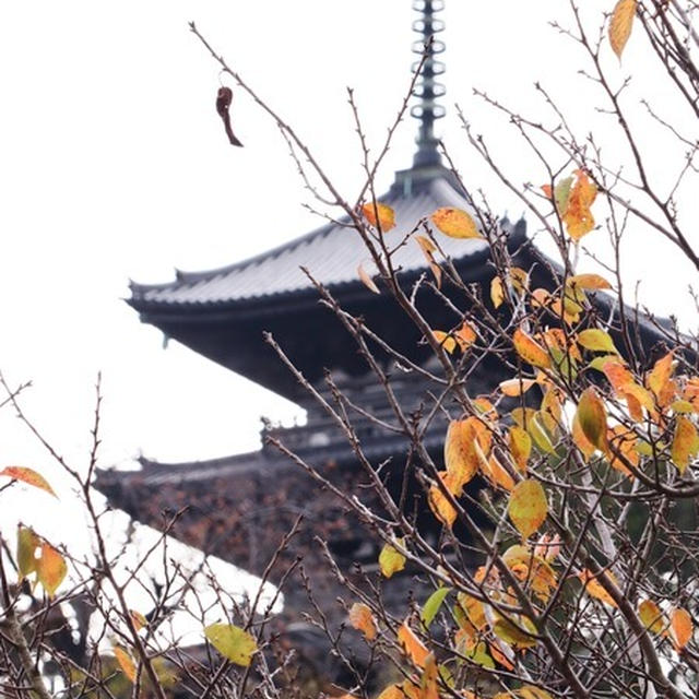 三渓園 11月