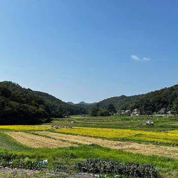 今日は畝立てのみ