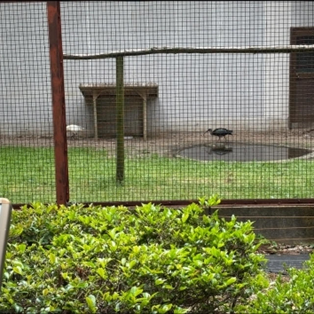 トキの森公園