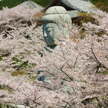 吉野山（奈良）