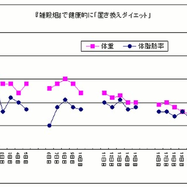減量大作戦-2 20日目(1ヶ月)～美味しく食べてダイエット！