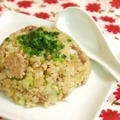 豚塩ねぎチャーハン