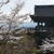 清水寺と桜