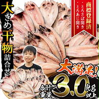 ネロの絶対満足間違いなし！おすすめのふるさと納税（食料品編①）