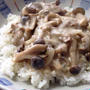 ＜舞茸きのこのビーフストロガノフ＞スパイス大使