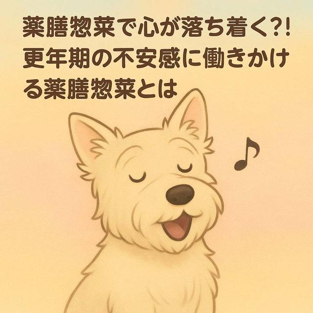 薬膳惣菜で心が落ち着く？！更年期の不安感に働きかける薬膳惣菜とは