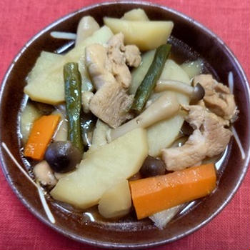 鶏もも肉とじゃがいも他の煮もの