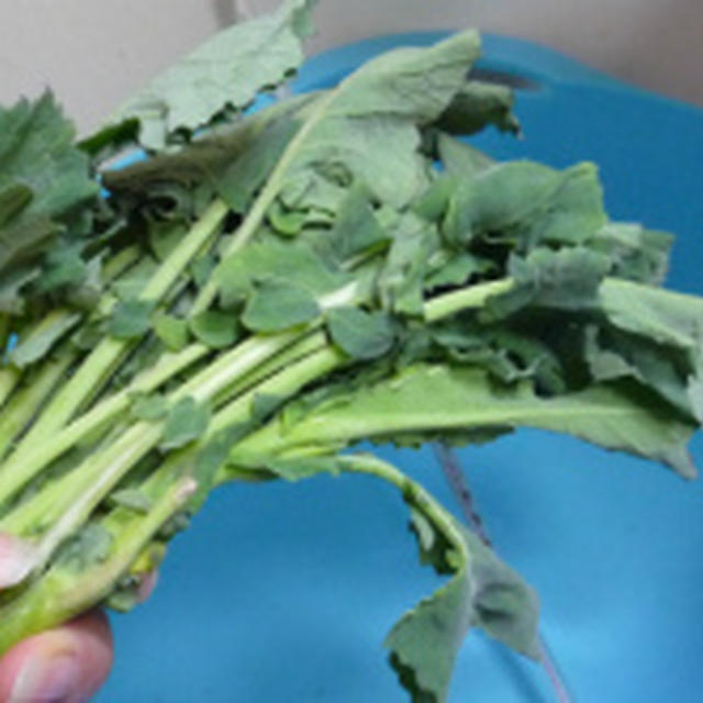 ５０度のお湯で野菜シャキッと！