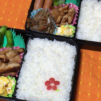 久しぶりの更新〜梅の花弁当