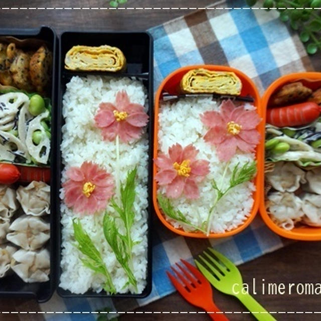 【息子と娘のオベントウ】　コスモスのお弁当　to　コロネをデコってフォトコンテスト