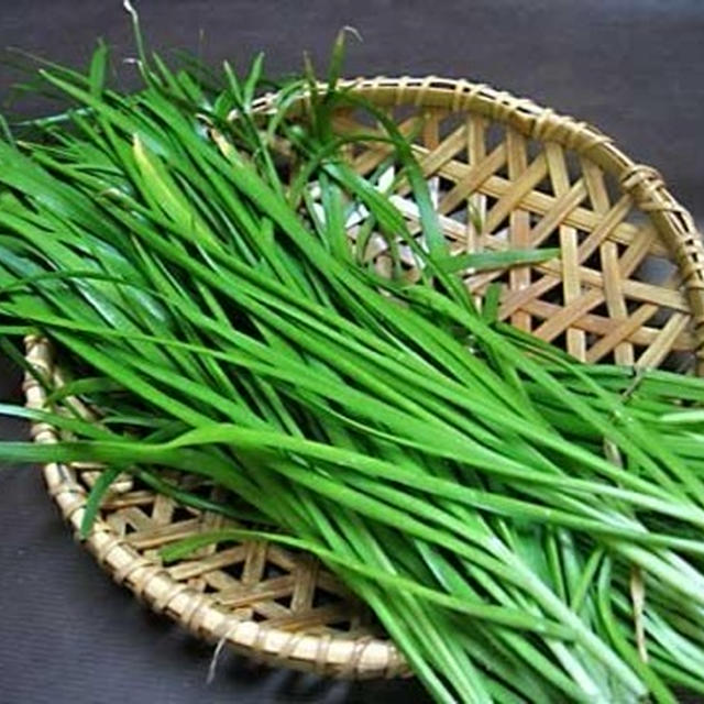 茎を食べる野菜②☆