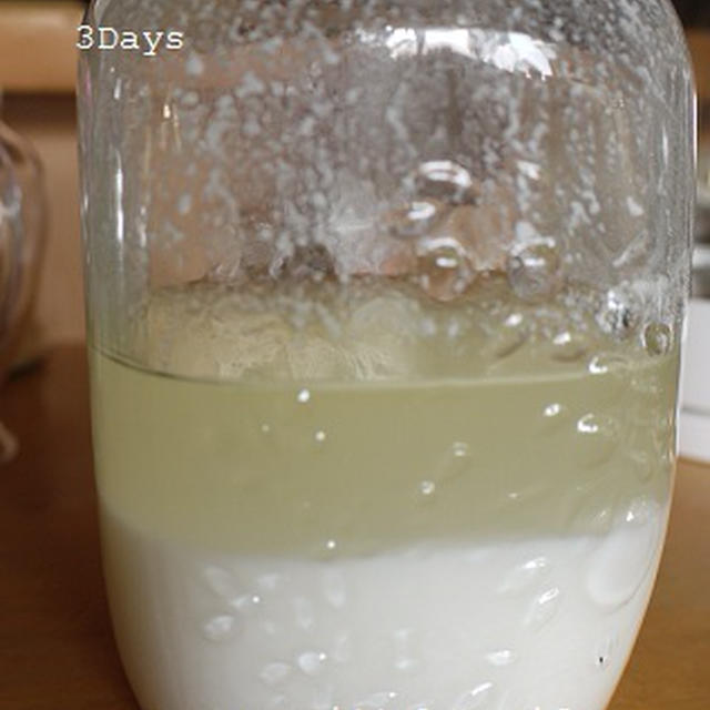 自家製天然酵母のその後　ヨーグルト酵母と5日目までの記録
