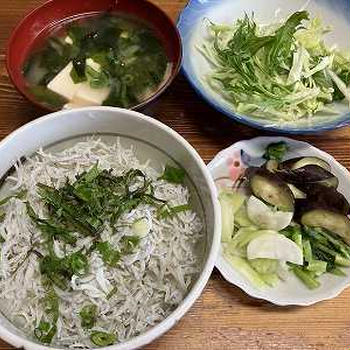 釜揚げしらす丼