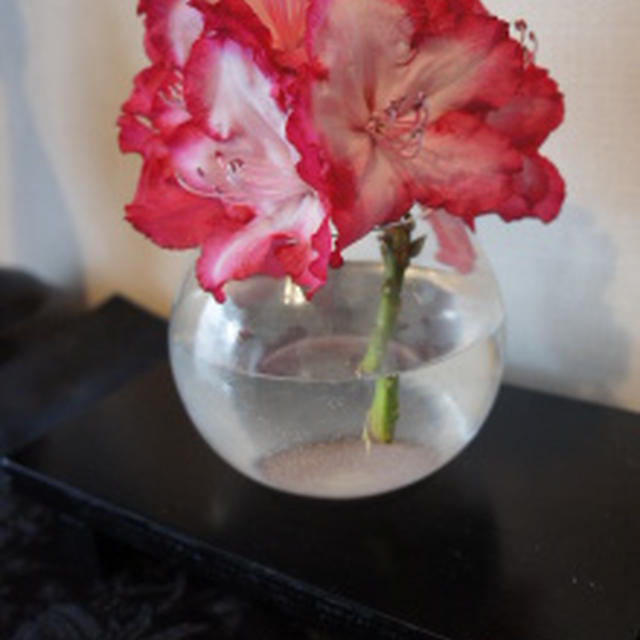 お花色々。　ポットラックランチ会(アラビアンチキン薔薇ソース）。　絵画教室。